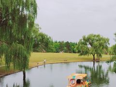 -上海共青森林公园