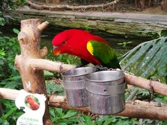 -南宫五洲植物乐园