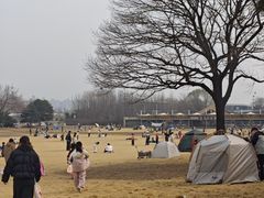 -石家庄市植物园