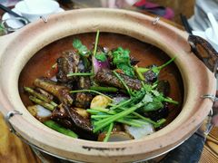 -广宁炭炉鸡煲·富临门饭店