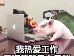 -台湾味正点车轮饼可丽饼(南禅寺店)