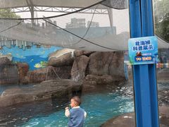 -海合安成都极地海洋公园