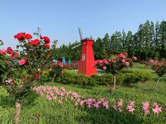 -上海长兴岛郊野公园