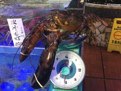 -侨美唐荔园·宴会厅(唐荔园食艺馆店)