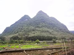 -长寿村