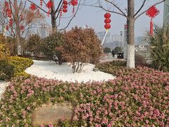 -映月湖中央公园