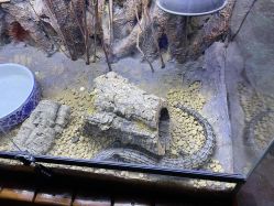 -酷嗒动物文化乐园(cutezoo西溪乐天城店)