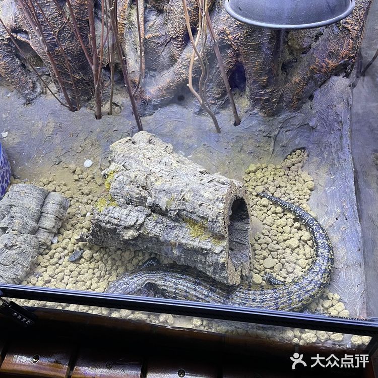 周末溜娃好去处~娃开心，你想做啥就做啥