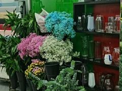 -循礼门鲜花花市(武汉循礼门店)