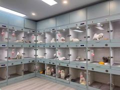 -萌宠之家·腊肠犬·马尔泰·小体犬舍