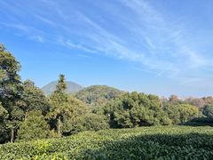 -西湖风景区十里琅珰-五云山