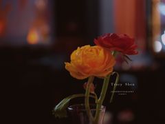 -YUE·6·西式融合餐厅(外滩六号店)