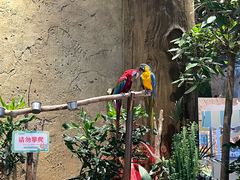 -杭州开元森泊度假乐园