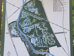 -东郊湿地公园