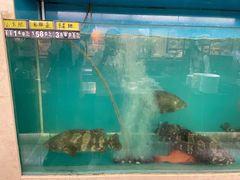 -海鸿荟·沿江菜(中山北路店)
