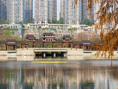 -重庆彩云湖湿地公园