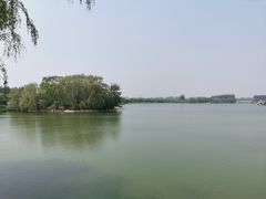 -大兴滨河森林公园