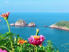 -枸杞岛