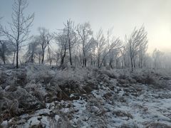-雾凇岛