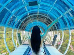 -盈香心动乐园