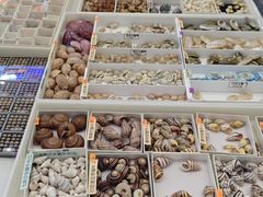 -万达广场(武汉菱角湖店)