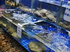 水产区-香满居张记小厨私房菜(青岛站店)