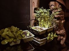 -旅马餐厅(茅家埠店)