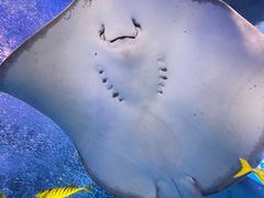 -太平洋海底世界