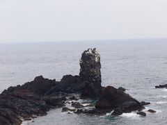 -涉地可支