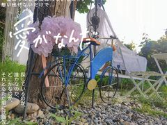 -安德鲁户外烧烤帐篷营地(马泉营店)