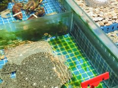 -双合园·海鲜水饺青岛菜(万佳广场店)