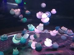 -多彩贵州城极地海洋世界