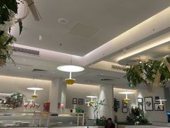 -Aqua Oasis 水天堂(太湖中心mall店)