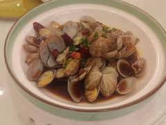 姜葱炒花蛤-沪华海鲜大酒楼(南汇店)