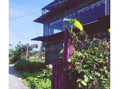 原野牧场-原野牧场