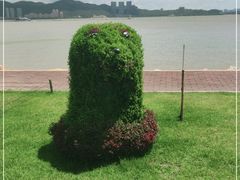 -野狸岛