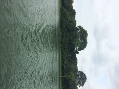 河川生态园-河川生态园