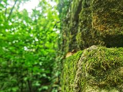 -宁波市保国寺古建筑博物馆