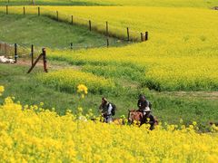 -扁都口生态休闲旅游区