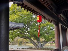 -江心屿景区