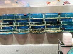 水产区-蓝珊甄选海鲜自助·火锅大排档(近阿那亚店)