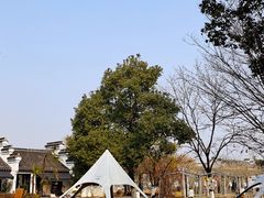 -丝绸小镇荻港古村