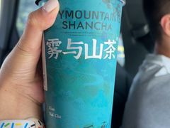 -雾与山茶(大禹城店)