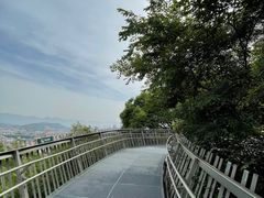 -福道