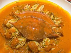 -甄御•海鲜新青岛菜(麦岛店)