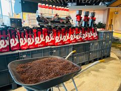 -Seesaw Coffee(朝阳大悦城店)