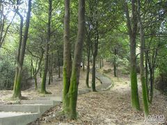 -火炉山森林公园