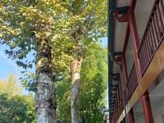 -中共五大会址纪念馆