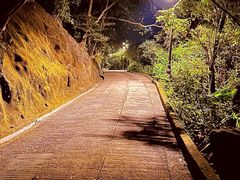-太平山顶