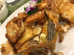 煎焗骨腩-喜运来酒楼(江南大道店)